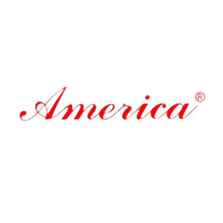 Logo of America brand electrical panel boards products in red script font on white background
