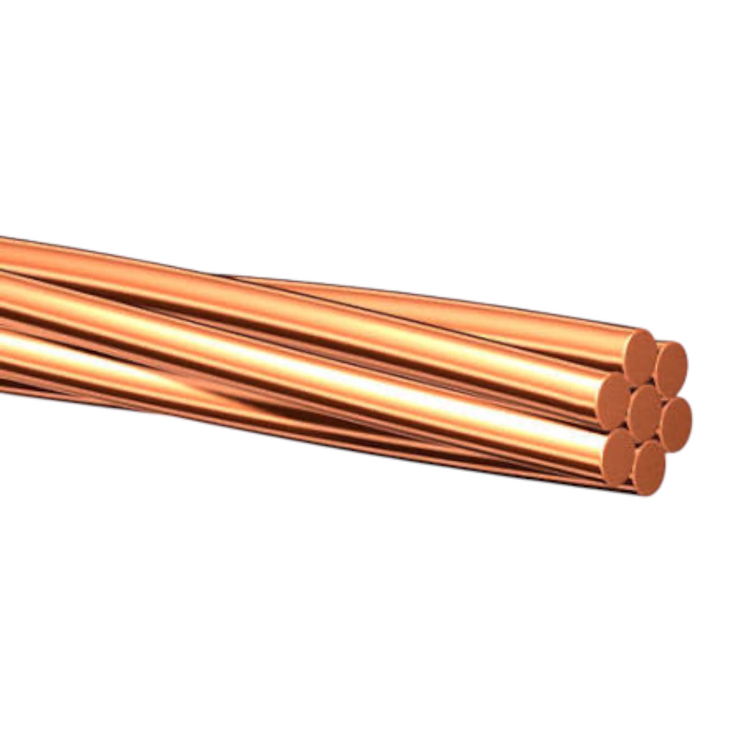 0_1_Meter_BC1000_Electx_Electrical_Supply_88