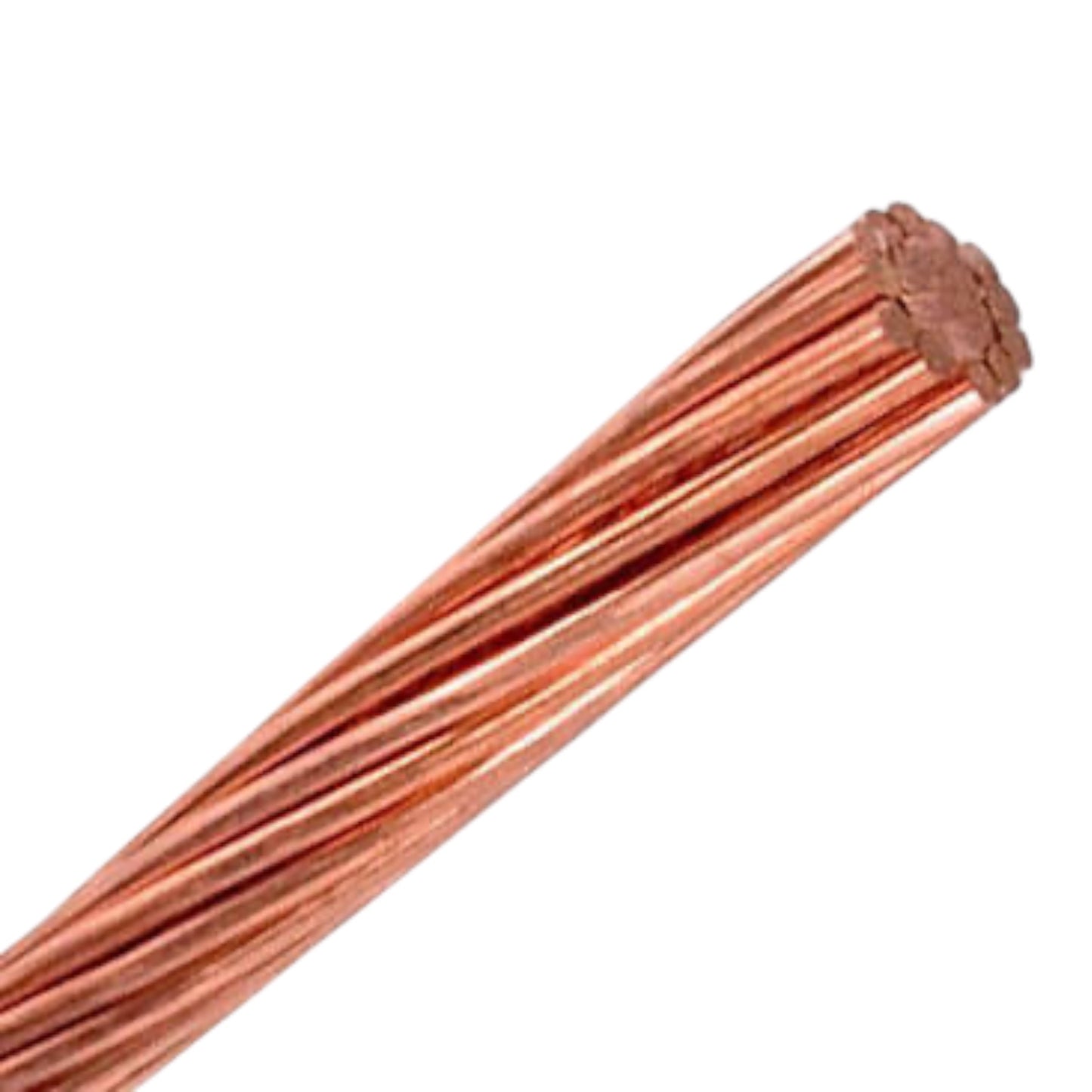 0_1_Meter_BC1000_Electx_Electrical_Supply_89