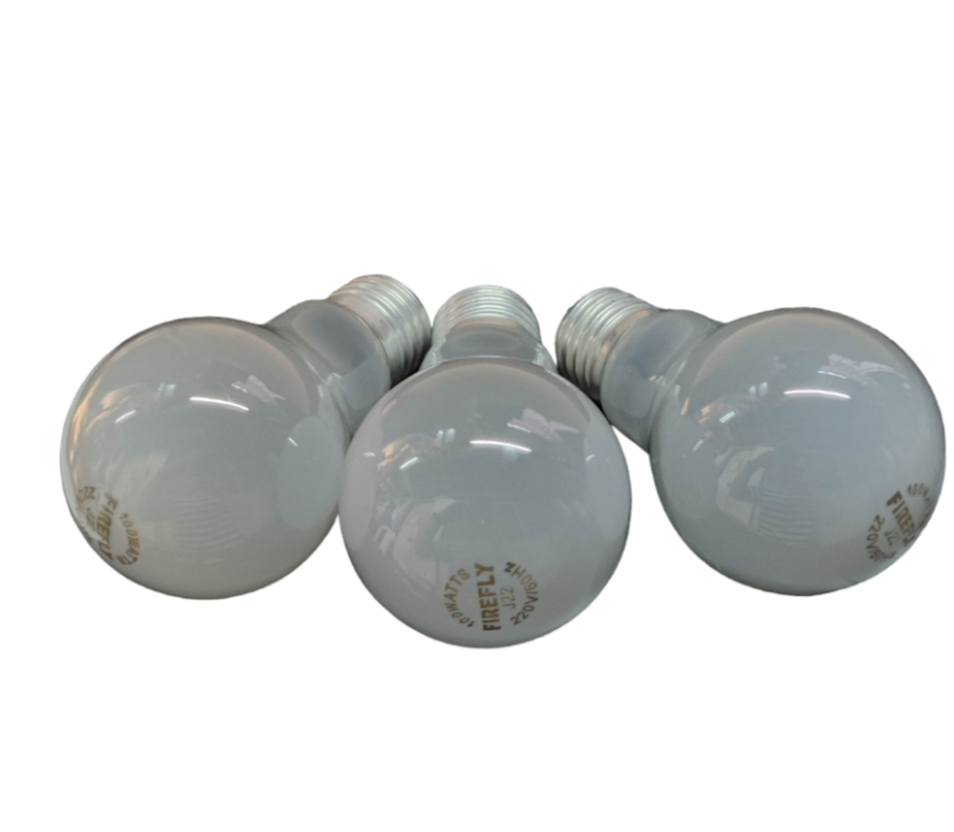 Firefly 100W Incandescent Bulb 220V E27 Frosted FINS100/F (3PCS)