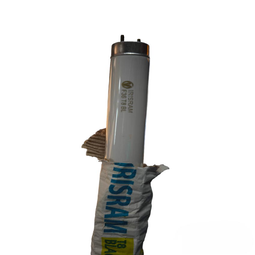 Irisram 36W T-8 Ultra Violet Lamp Black Light White Fluorescent Tube Insect Killer tube