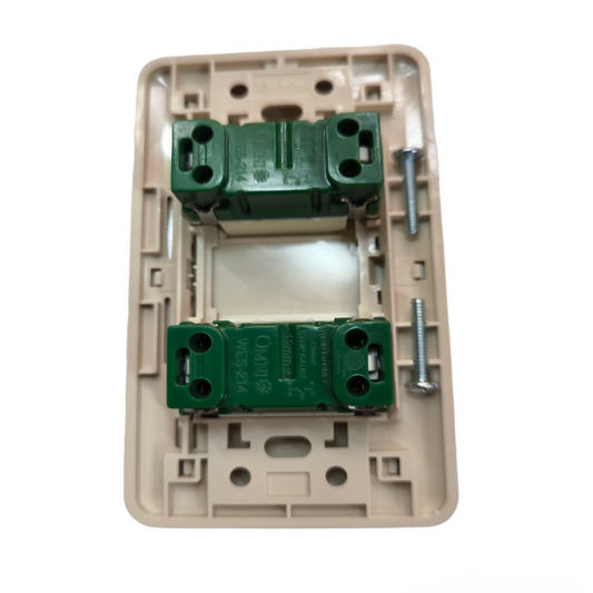 Omni 2 Gang 1 Way Illuminated Switch 16A 250V with Plate Cover WEP-102+(WES-214x2)