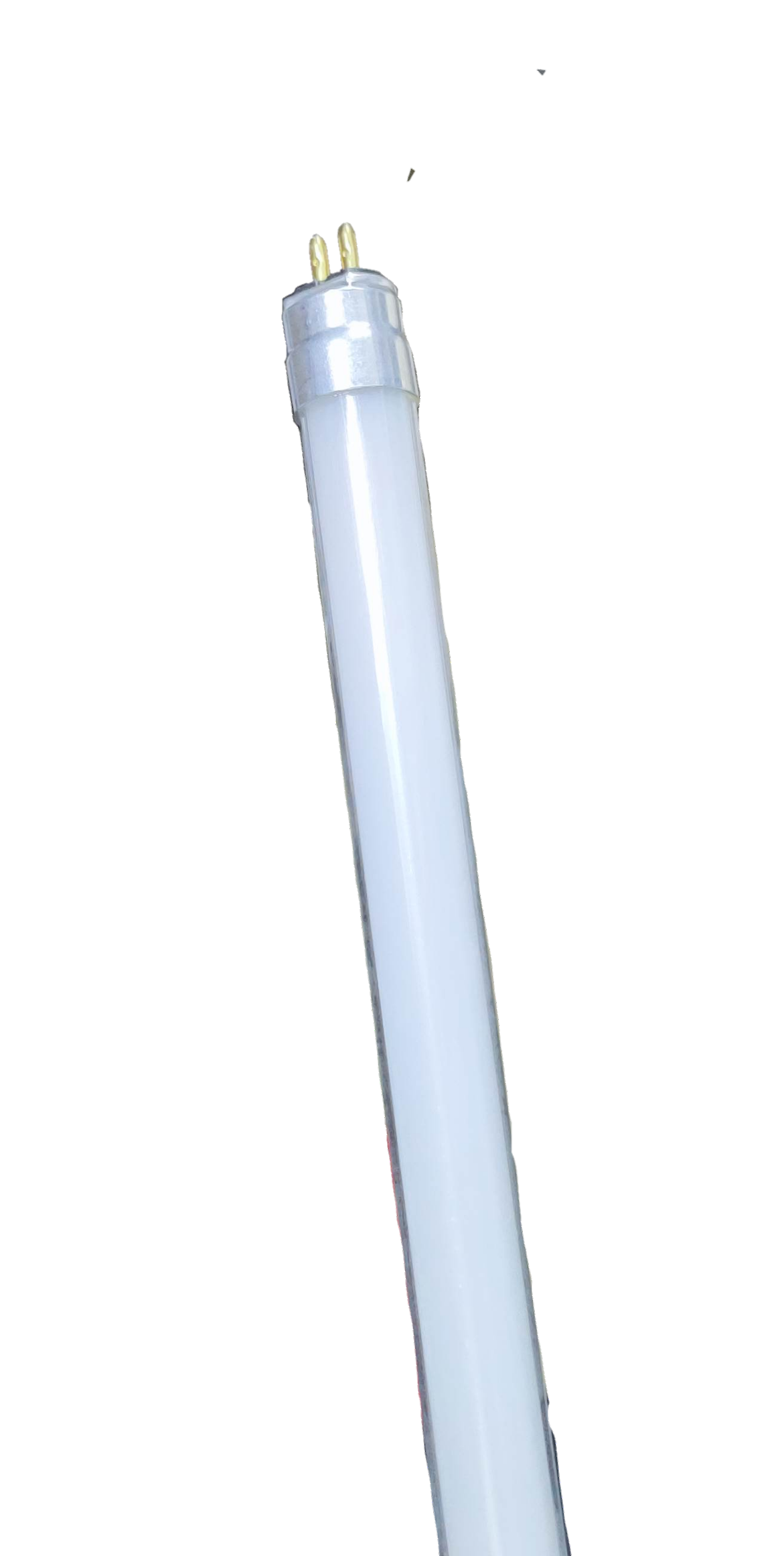 Firefly 8W LED T-5 Fluorescent Tube Daylight with white light and two-pin connector