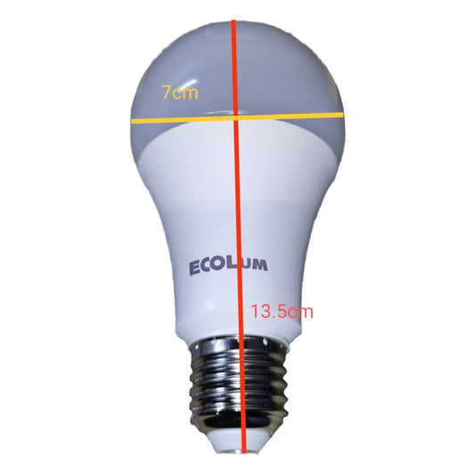 Ecolum LED bulb with measurements on a white background