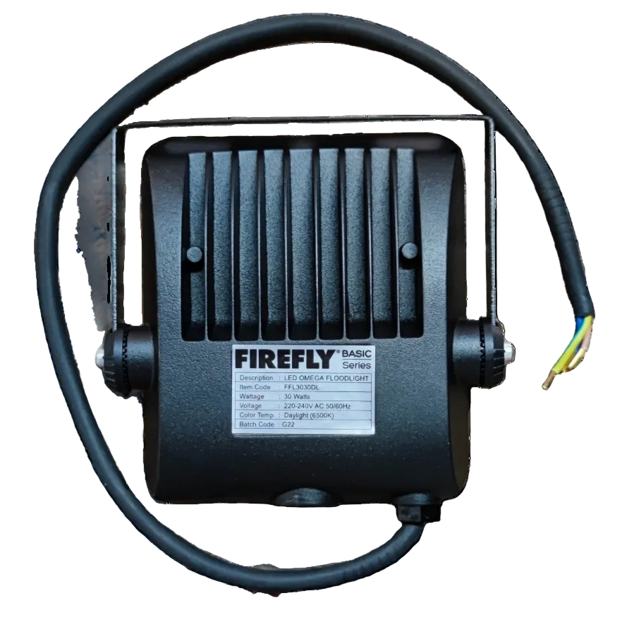 Firefly 30W LED floodlight with durable design for outdoor lighting applications