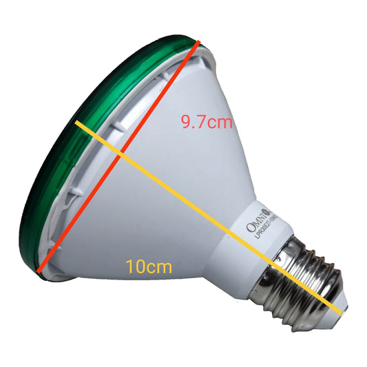 Light bulb with measurements on a white background