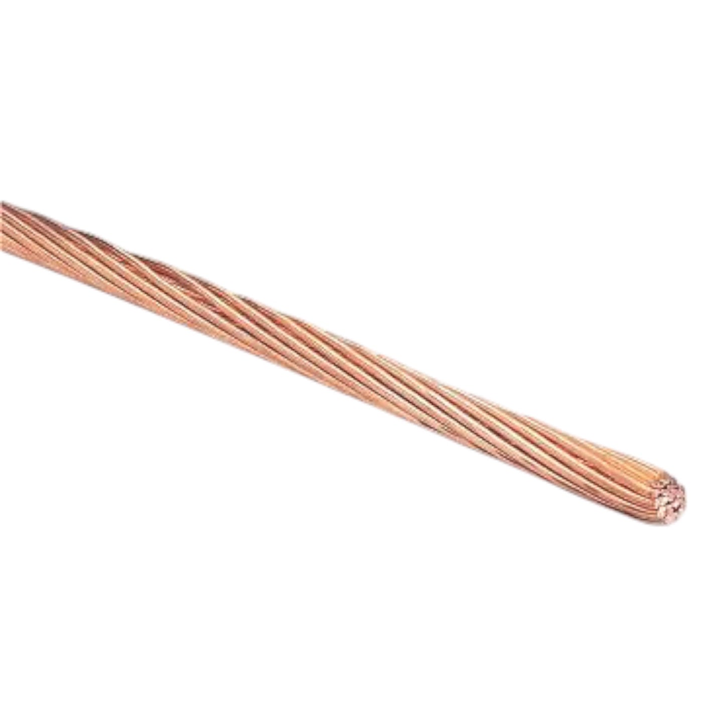 0_1_Meter_BC1000_Electx_Electrical_Supply_86