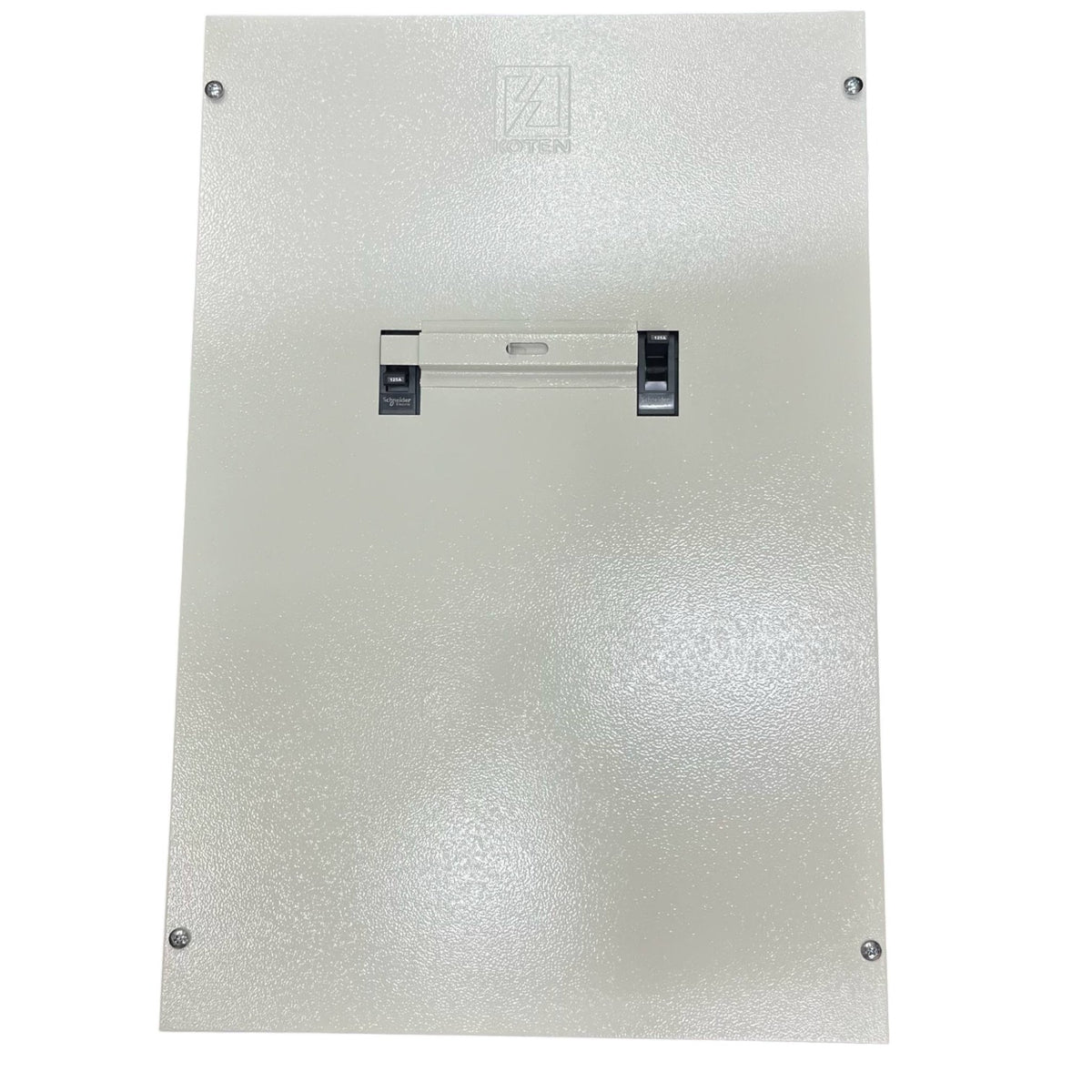 Schneider 200A MTS 2Pole with Nema 1 Enclosure 36KAIC 220V EZC250H2200