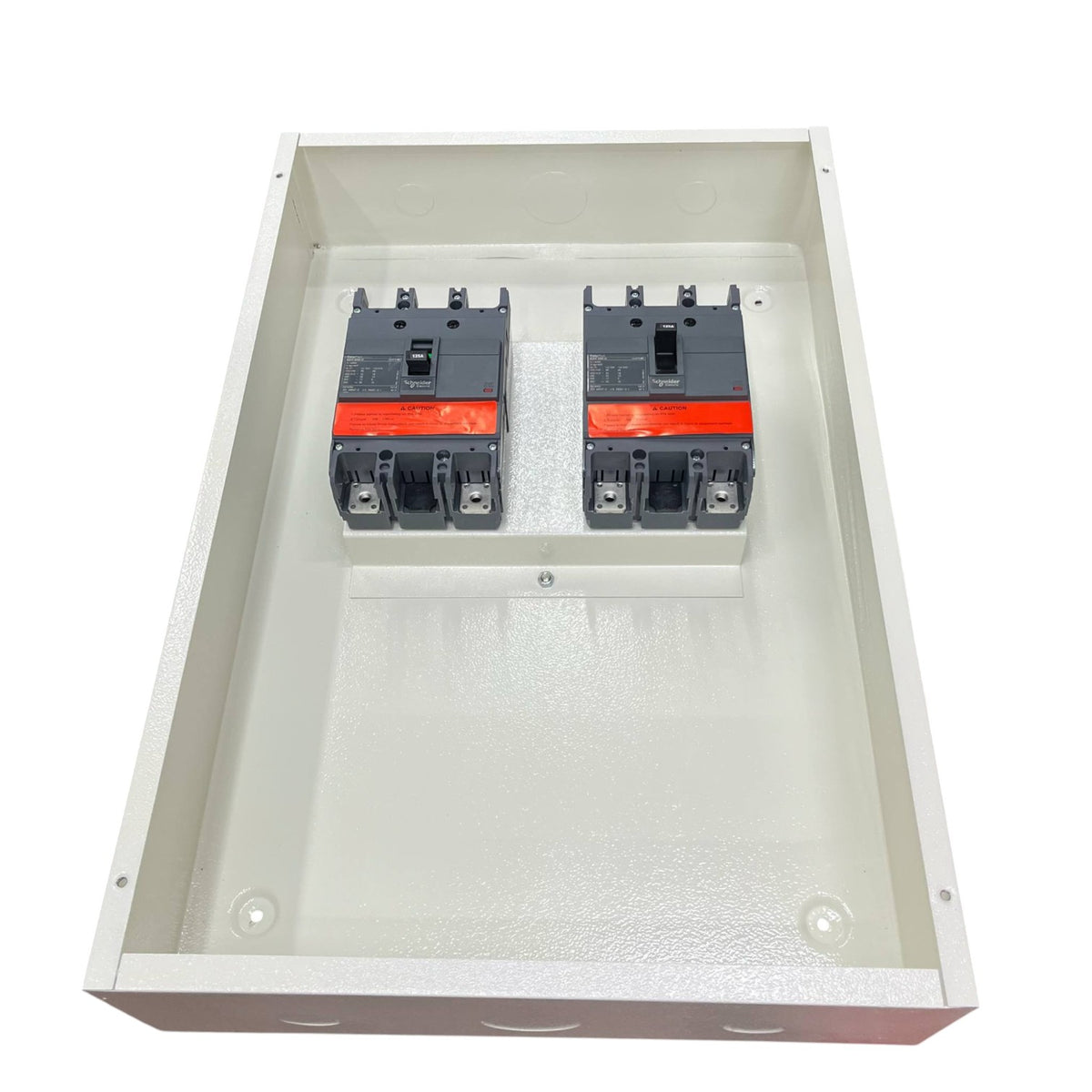 Schneider 250A MTS 2Pole with Nema 1 Enclosure 36KAIC 220V EZC250H2250