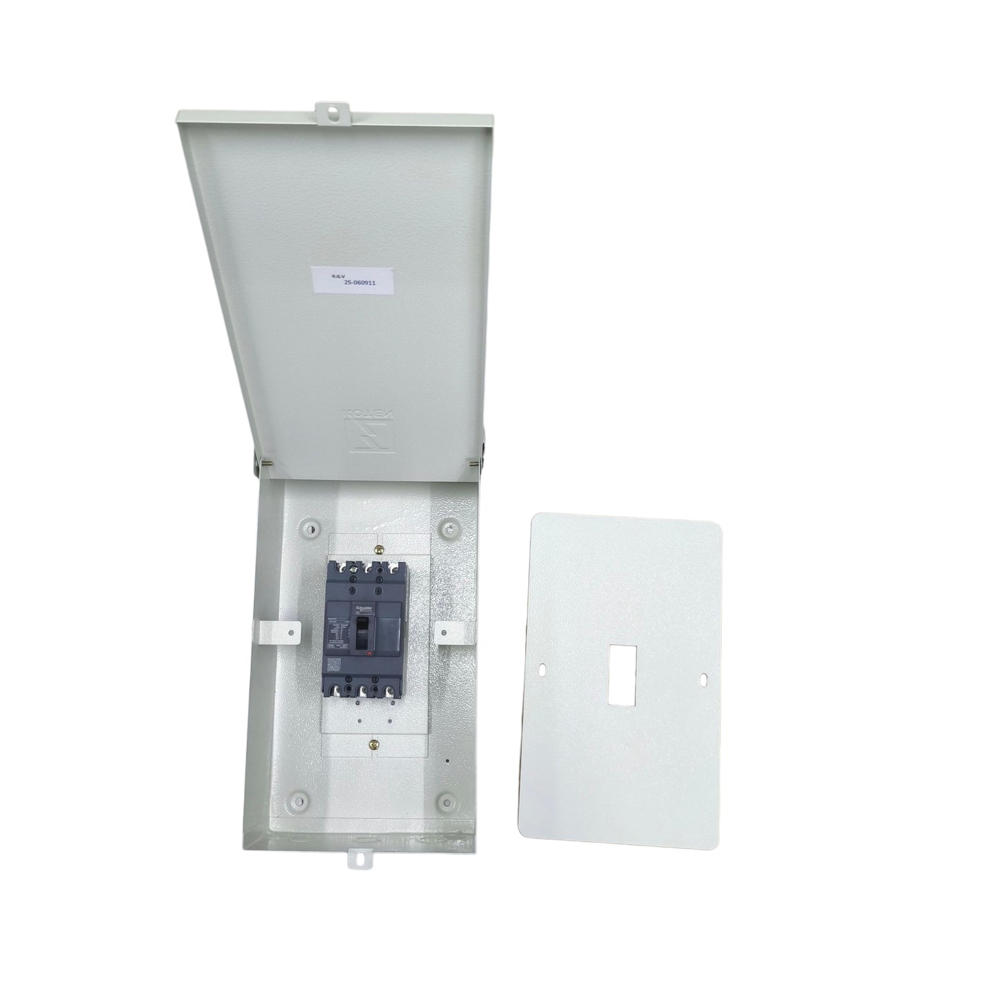 Schneider 75A 3Pole 10KAIC 220V MCCB Industrial Circuit Breaker with Nema 3r Enclosure Weatherproof Outdoor EZC100H3075