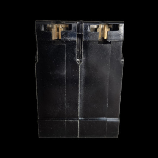 Taiyou 100A 2 Pole 220V Circuit Breaker Plug-in with black plastic housing and metal contacts