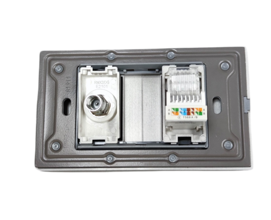 Royu Cable TV Socket and Telephone Modular Jack Power Point with gray frame for home wiring