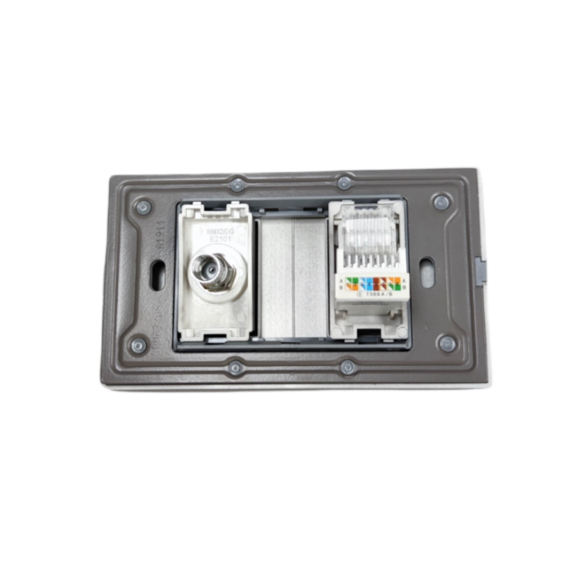 Royu Cable TV Socket and Telephone Modular Jack Power Point with gray frame for home wiring