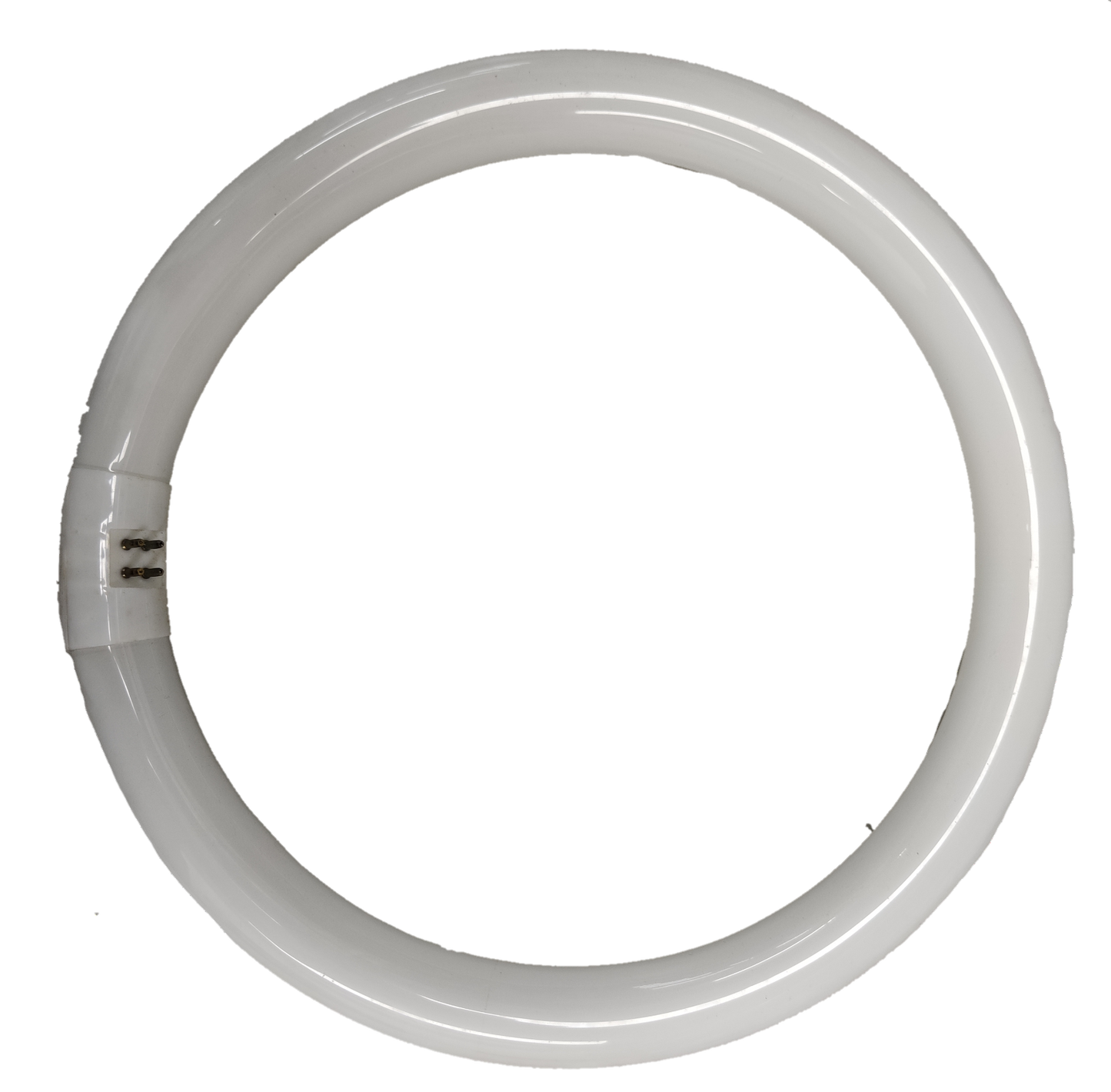 Philips 32W Circular Fluorescent Tube Cool White