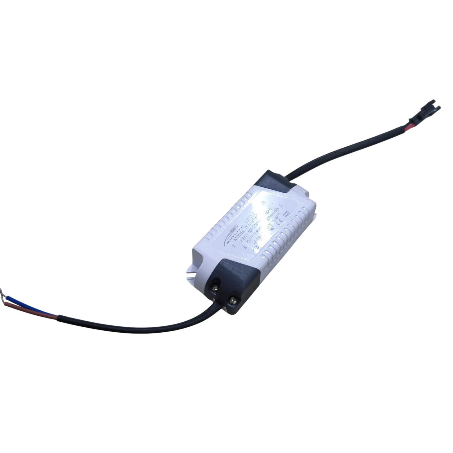 Biglite LED Driver Input 100-240V Output 45-65VDC compact aluminum case with input and output wires