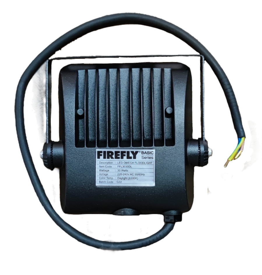 Firefly 30W LED Floodlight 220V Daylight 6500K FFL3030DL Omega Series Flood light