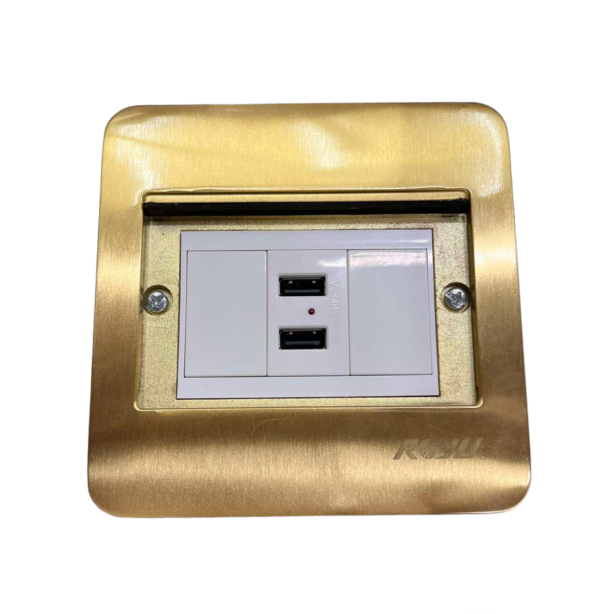 Royu Floor Outlet 2 Port USB Outlet 2100mAh with gold finish power point and dual USB ports