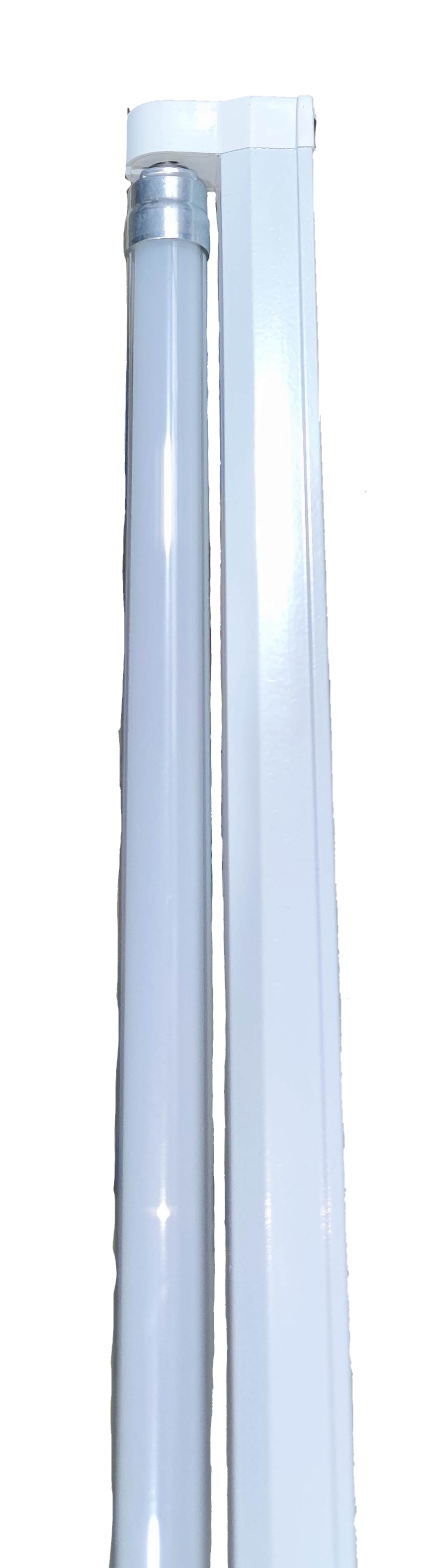 Firefly 600mm 8W T5 LED Fluorescent Tube with white casing for energy-efficient lighting