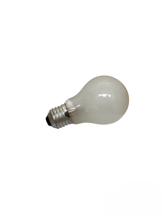 Frosted incandescent bulb with standard screw base made in China incubator egg bulb replacement for hatchers
