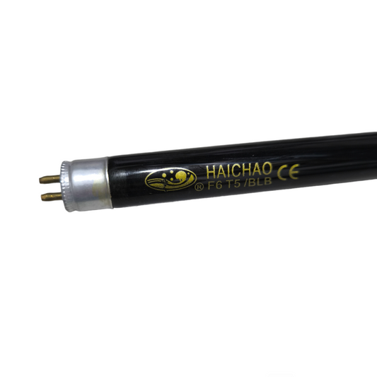 6W T5 black light fluorescent tube by Hai Chao for enhanced lighting effects