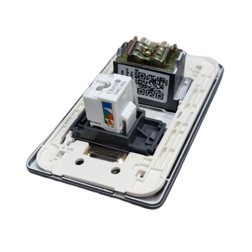 Omni graphite LAN and cable TV outlet wall plate with exposed RJ45 and coax modules white mounting frame