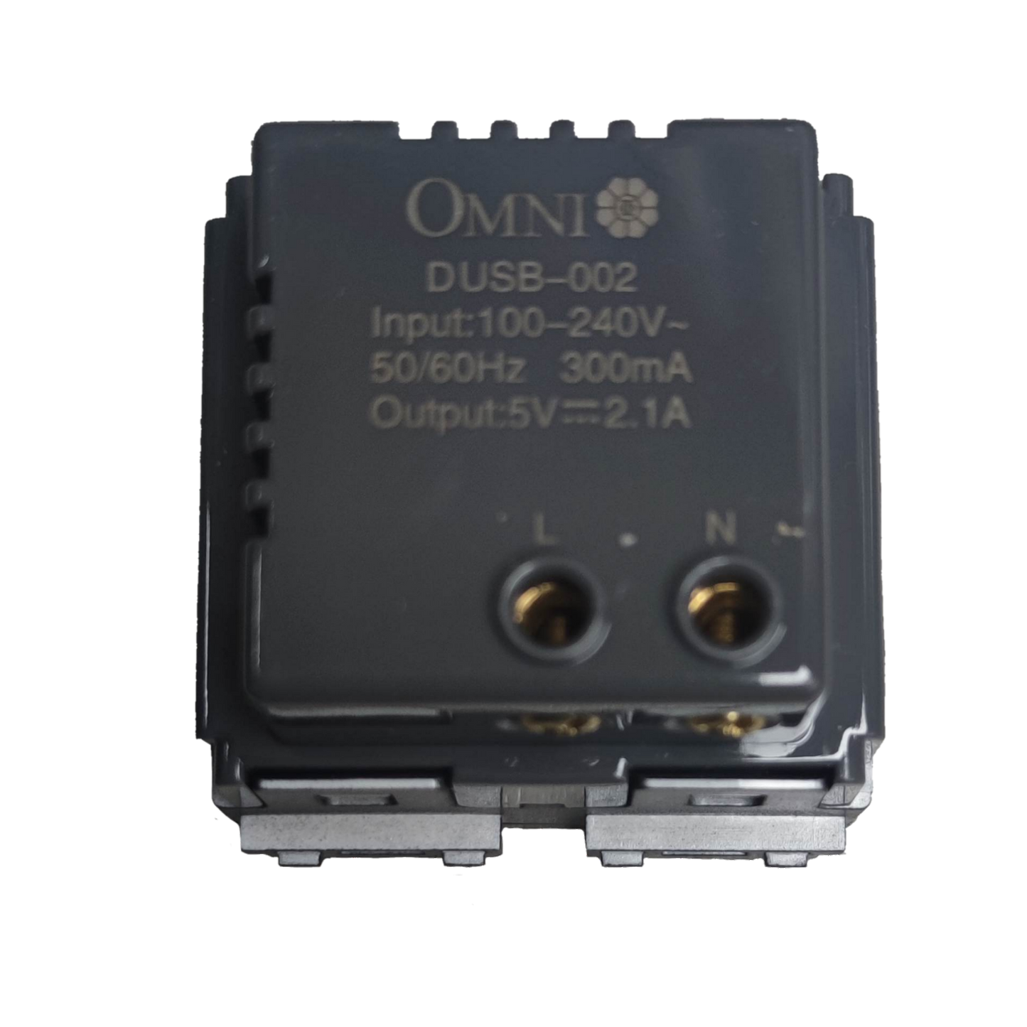 Omni USB wall outlet 2 gang with input range 100-240V and dual USB output