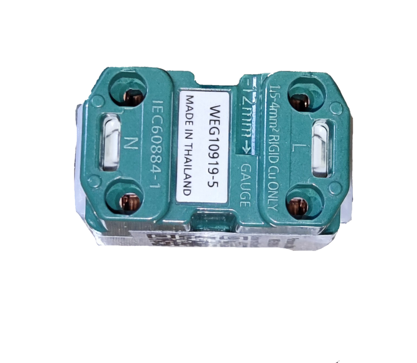 Panasonic 16A 250V quick connect terminal outlet green double terminal block marked L and N made in Thailand