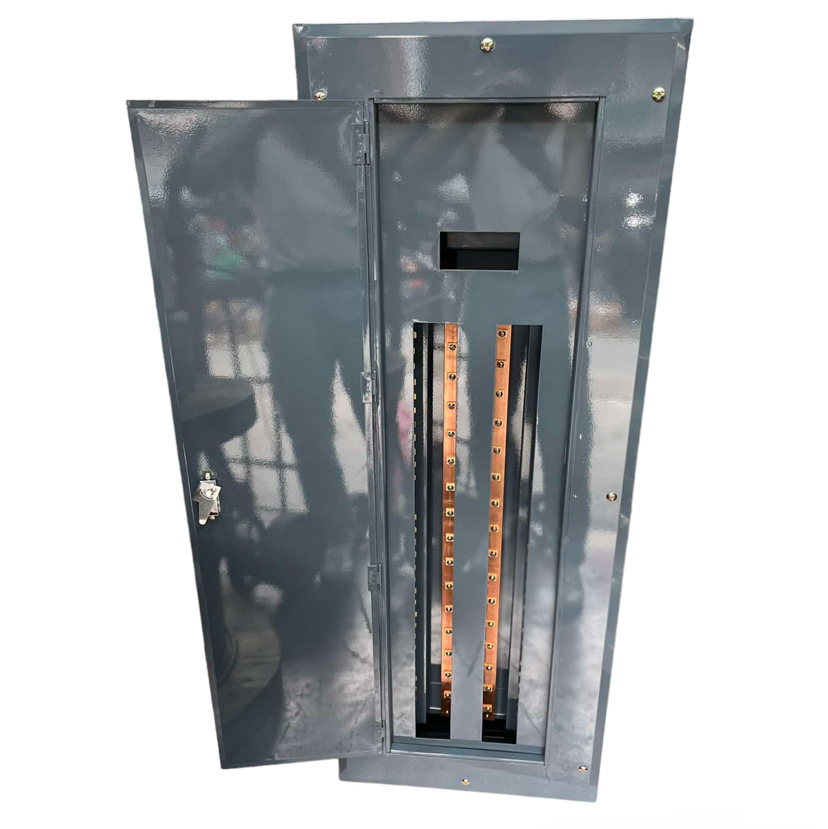 Schneider & GE 250A 2 pole panel board with an open door showcasing internal circuitry