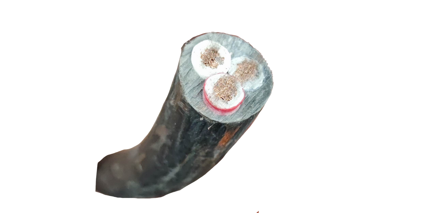 Close-up of Phelps Dodge 14mm 3core Royal Cord power cable showing three copper cores inside black insulation