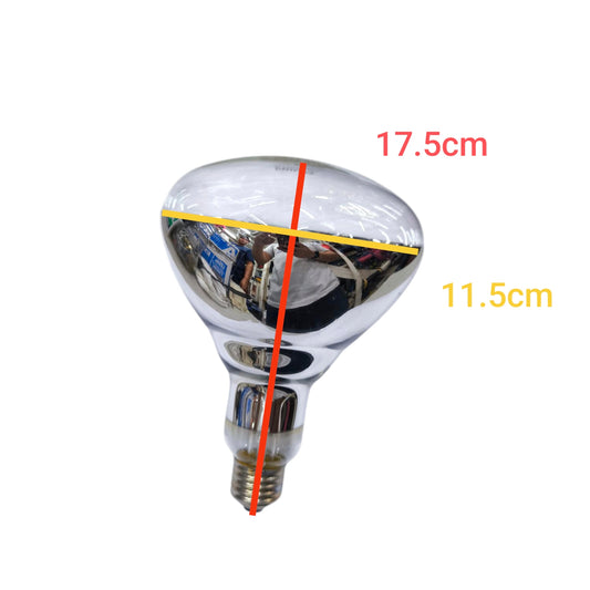 Philips 250W Infrared Bulb E27 220V with reflective surface and dimensions shown