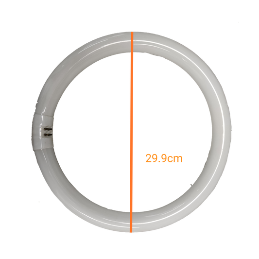 Philips 32W circular fluorescent tube in white, measuring 29.9cm in diameter for effective lighting