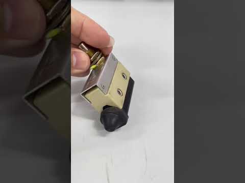 Sassin Limit Switch 10A 250V AZ7310