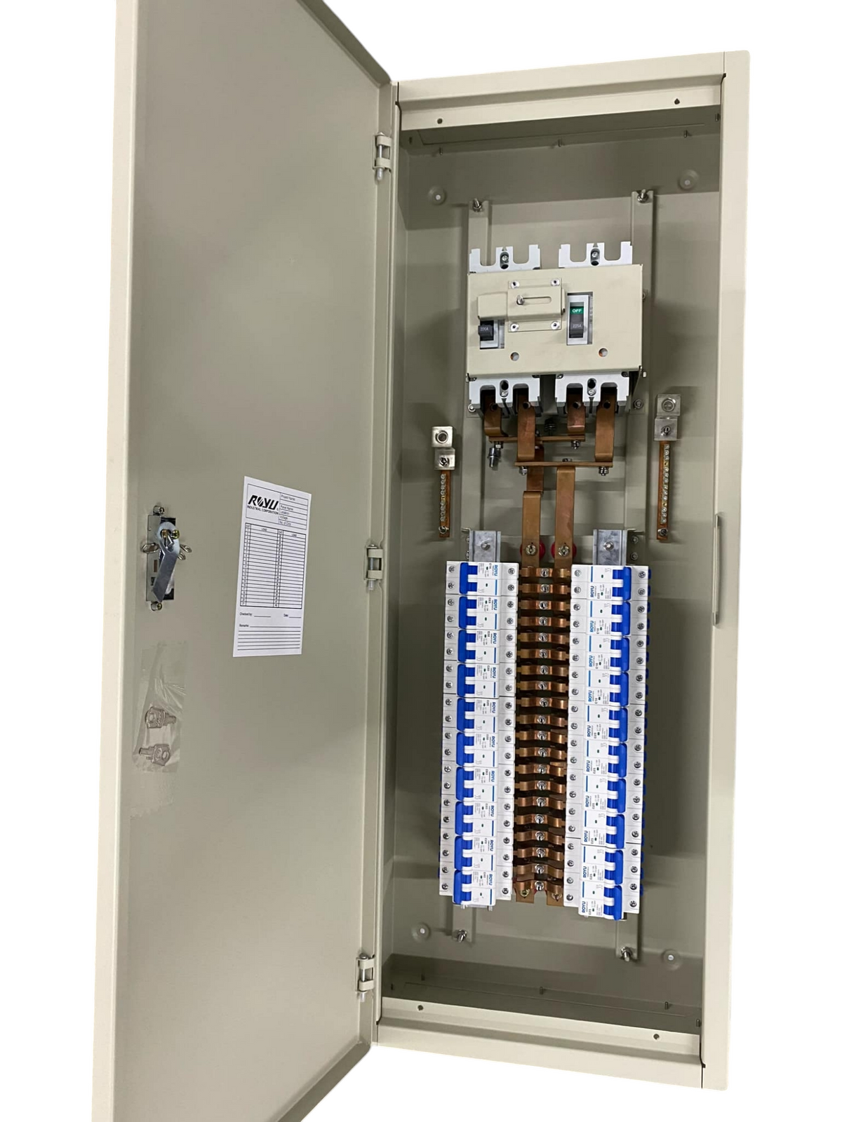 Chint 225A 2 pole MCCB panel board open showing main MCCB busbars and rows of blue circuit breakers