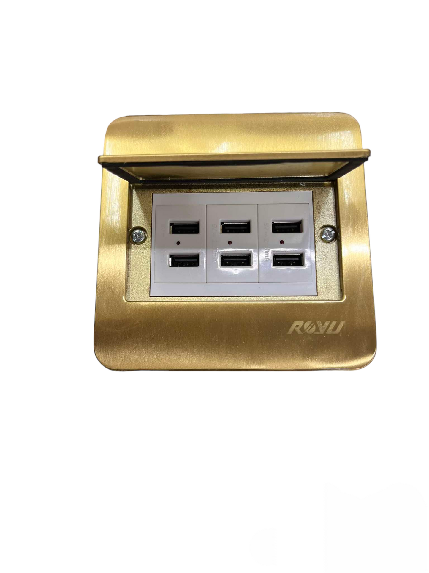 Royu Floor Outlet 6 Port USB Outlet with brass cover and six USB ports for convenient charging