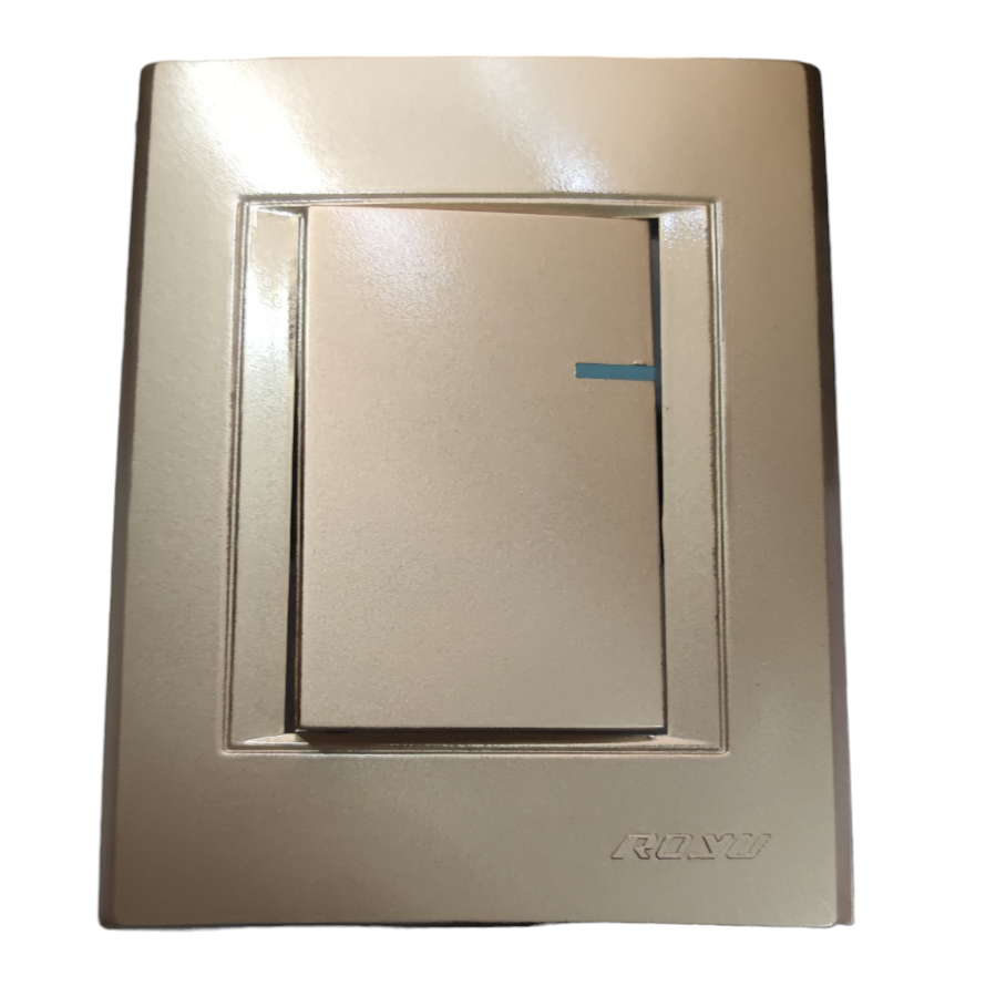 Royu Switch Flush Type 1 Way 10A 250V beige single switch power point