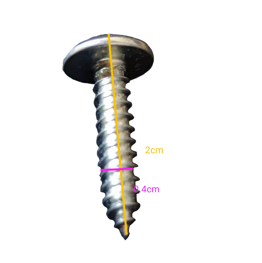 Close-up of a shiny Phillips screw measuring 1x2 cm, part of a 1x2 cm Phillips screw pack