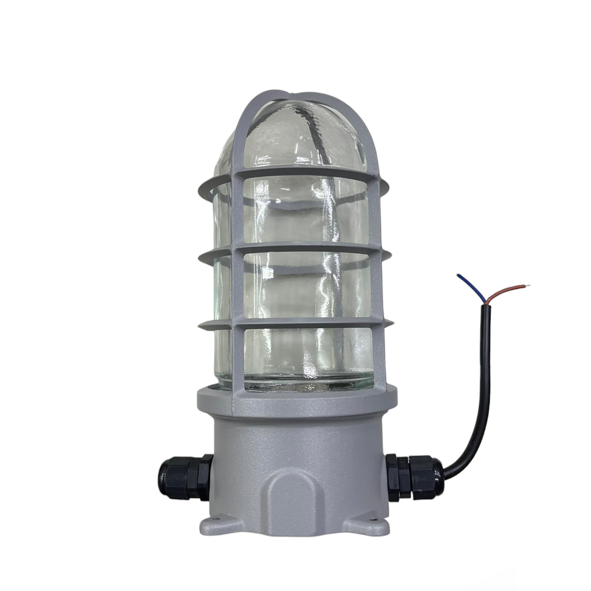 Globe Vapor Lamp Glass Clear E27 60W 220V industrial-style lighting installation fixture with protective metal cage