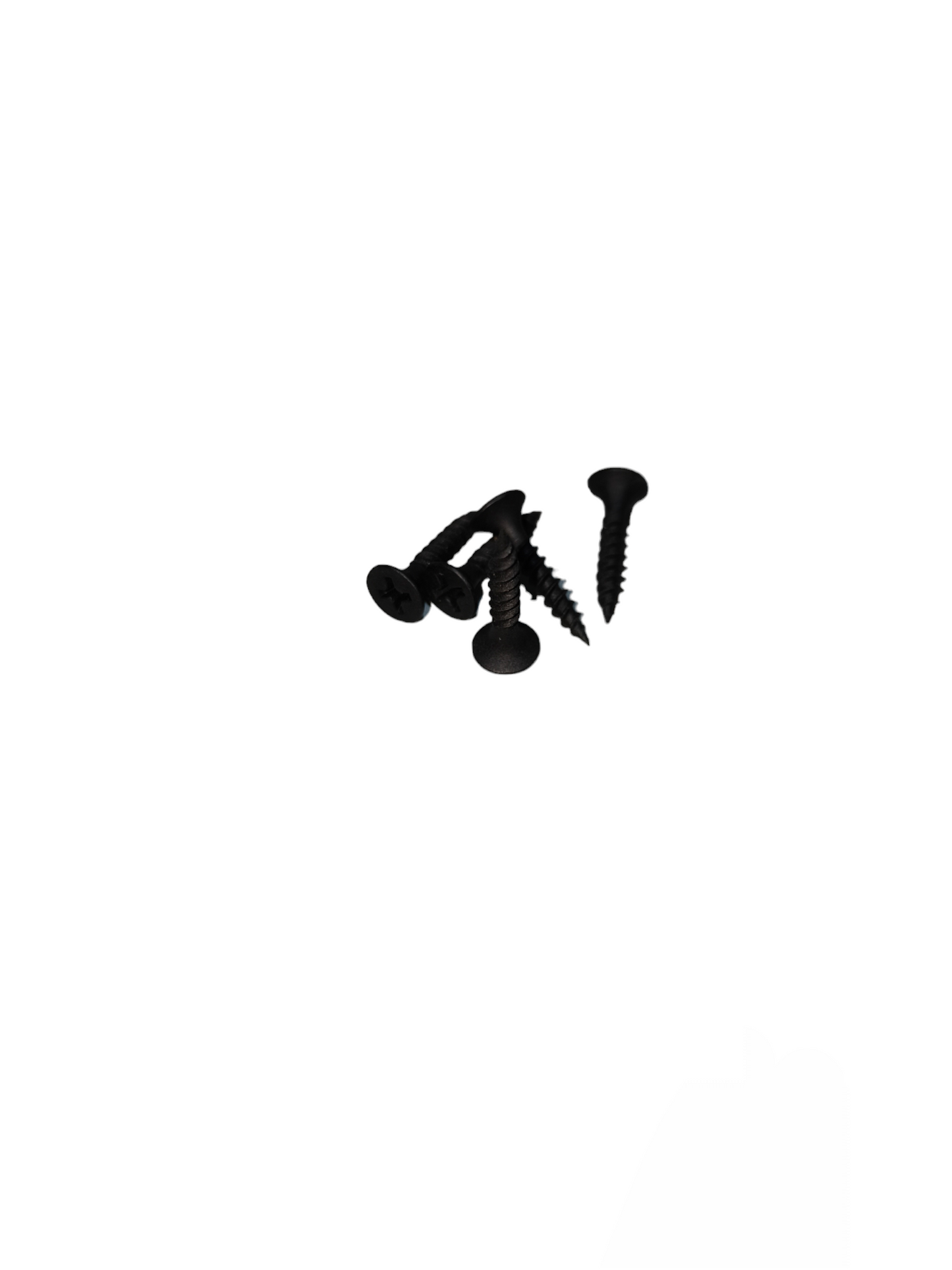 Wood Screw Black Philips Head screws displayed on white background for woodwork and construction