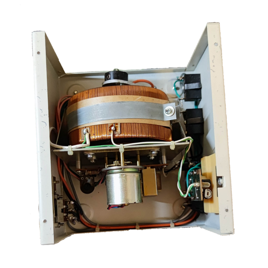 Electx Electrical Supply 250W automatic voltage regulator 220V power point with internal copper coil and wiring