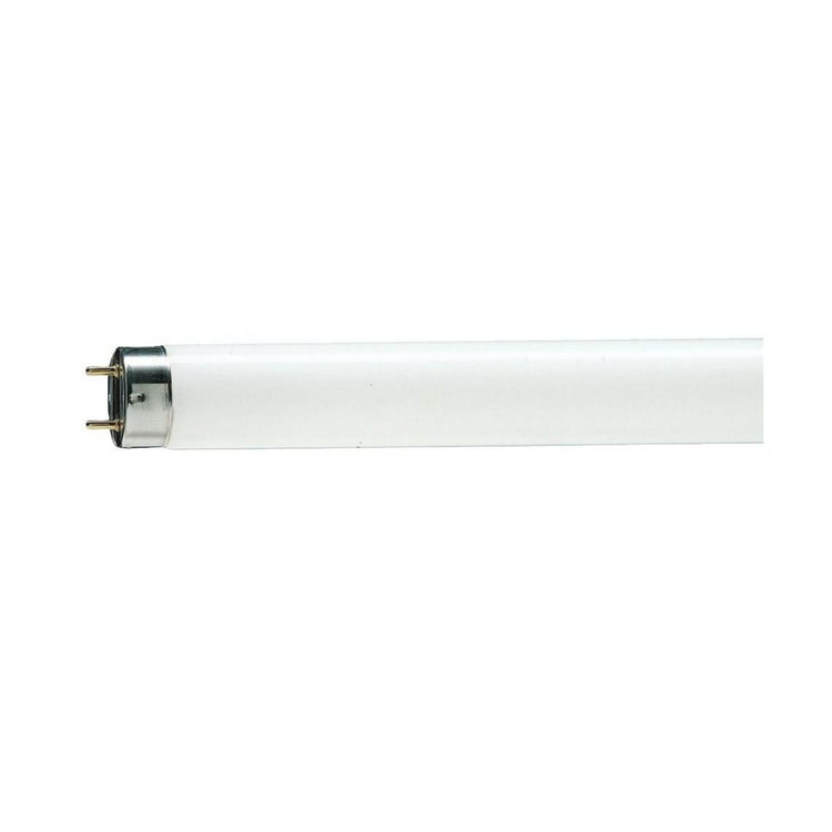 36W Fluorescent Tube