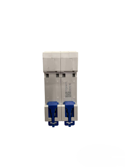 Royu 20A 2 Pole Miniature Circuit Breaker 4.5KAIC 220V RMB2P20C4