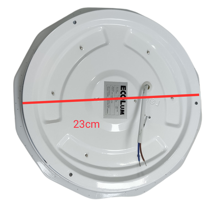 Ecolum 12W Ceiling Lights Daylight 6500K LED 220V, Center Light Living Room, Room Light