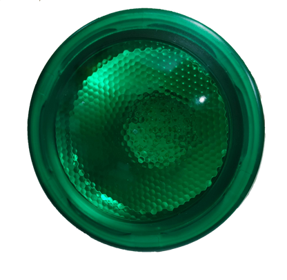 Omni 10W PAR 30 E27 220V Green ( Omni) LPR30E27-10W/G, LED PAR 30 10W E27 220V Green