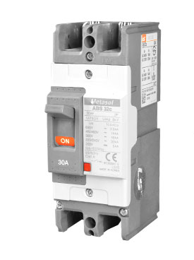 LS 15A 2 pole molded case circuit breaker with a compact design for electrical safety