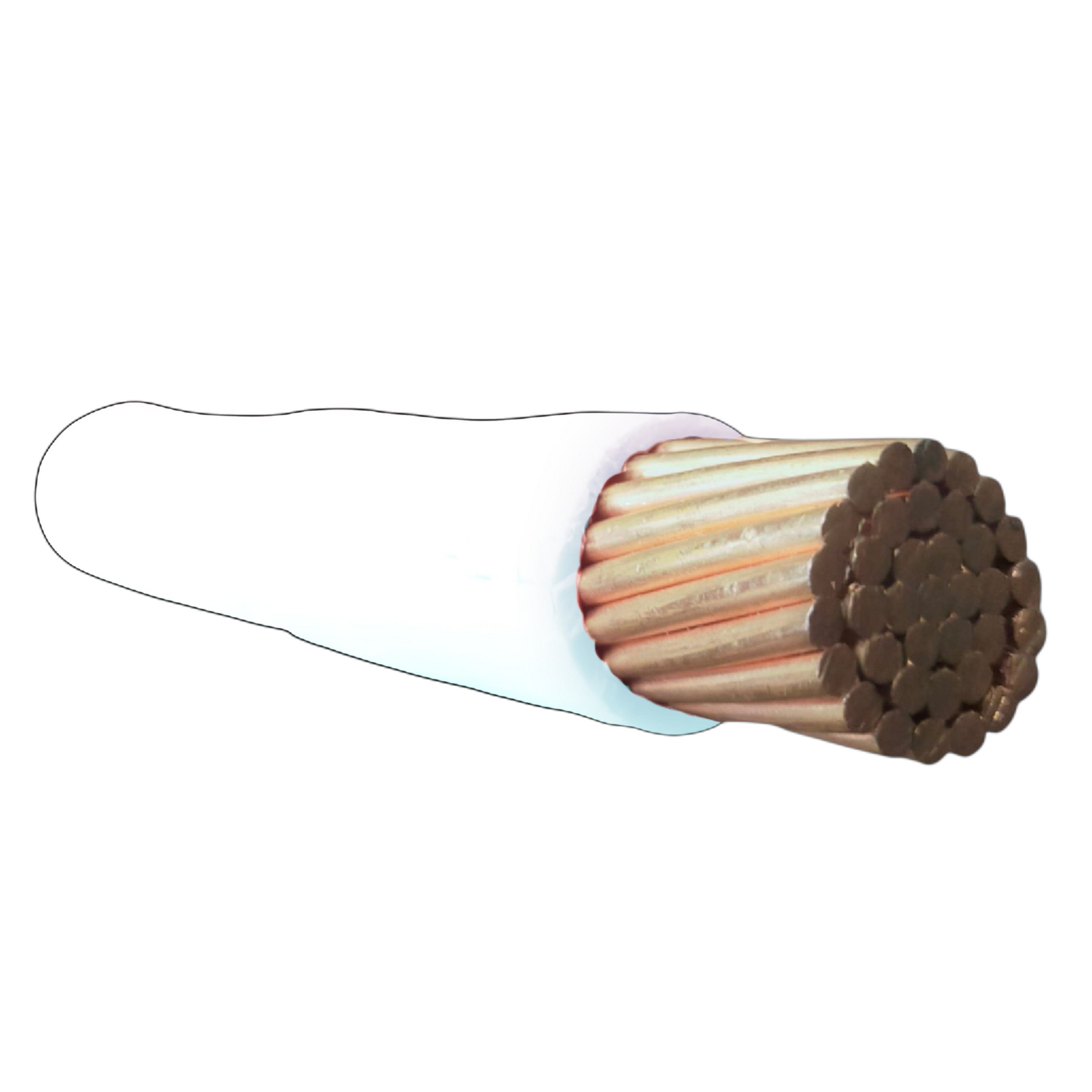 Cross-section of a cable with copper conductor and insulation on a white background