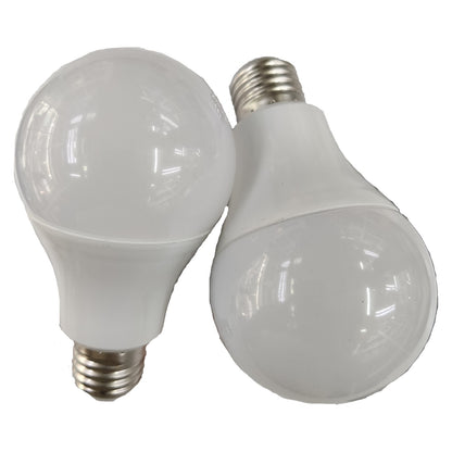 Two LED light bulbs on a white background