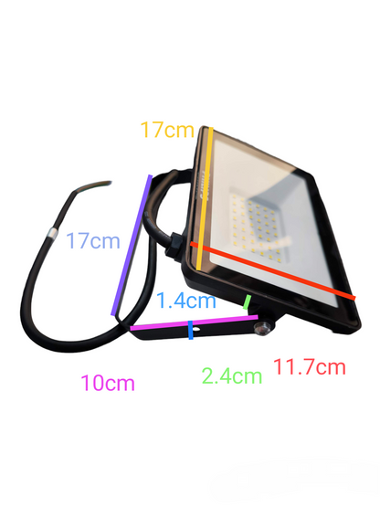 Philips 30W LED Floodlight 220V 3000K or 6500K BVP150 G2 220V 30W SWB CE