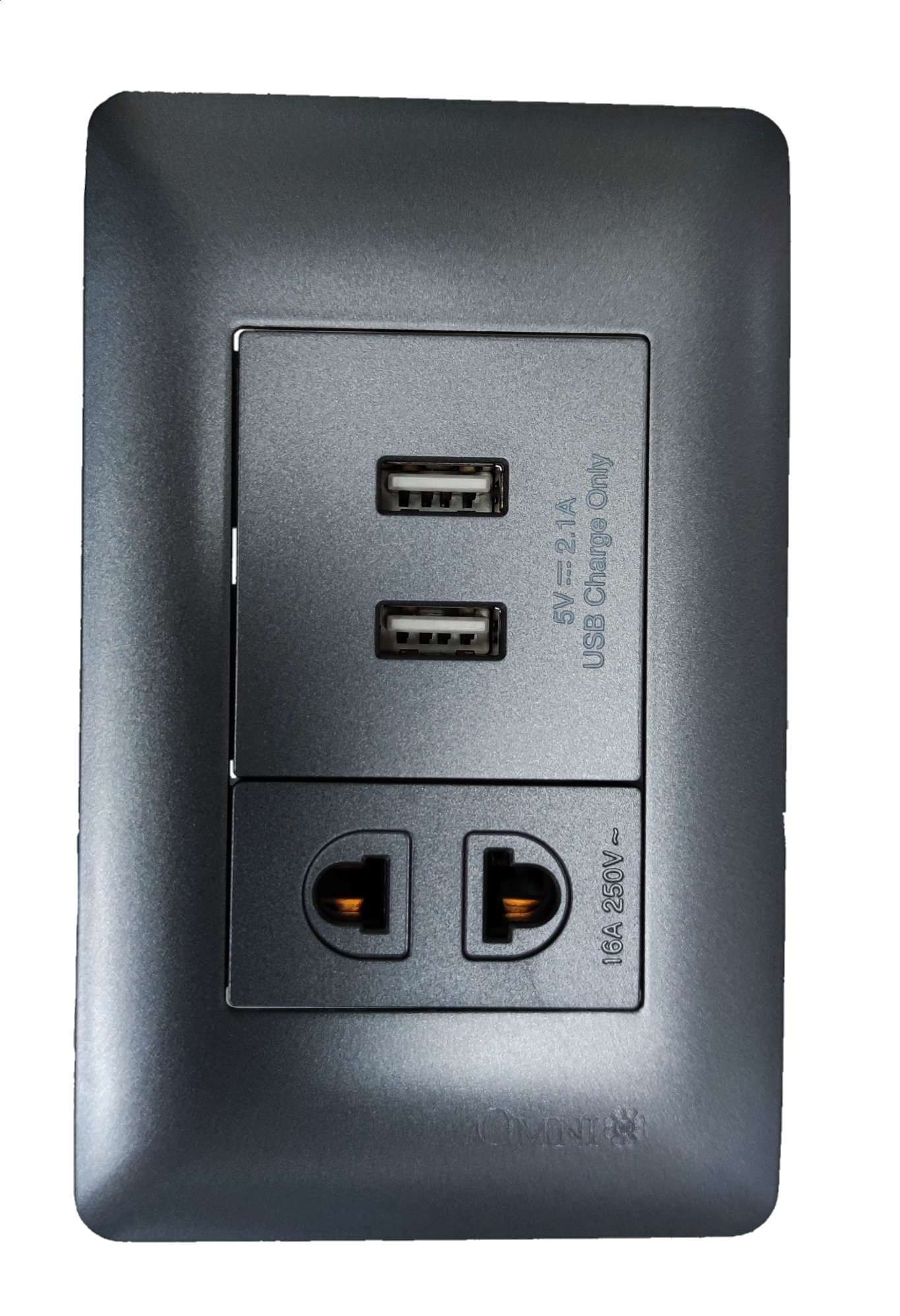 Omni 2 gang USB outlet with universal socket for charging multiple devices simultaneously