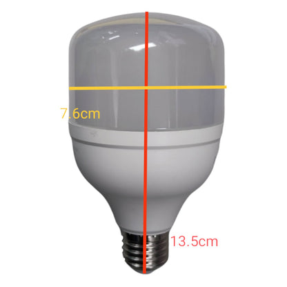 Philips 20W True Force 220V Daylight E27 LED Bulb with a sleek design for bright illumination
