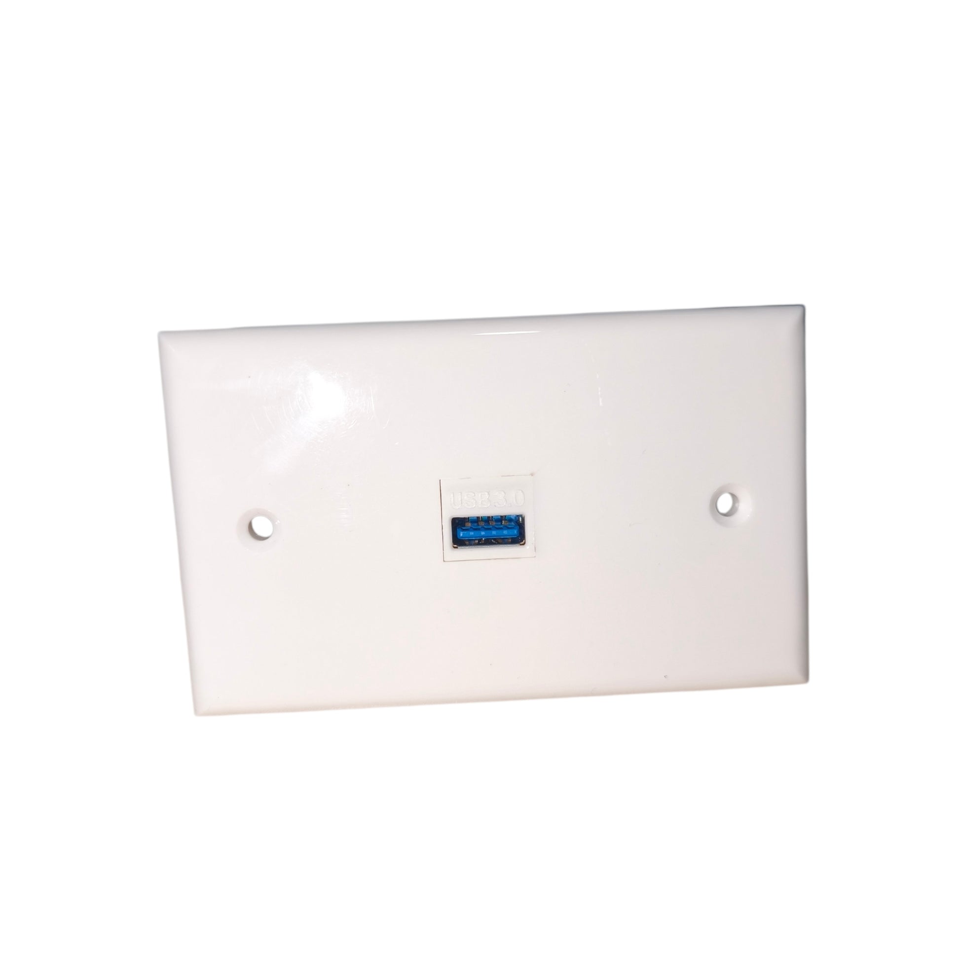 A white rectangular USB wall outlet cover plate with a blue USB-A port in the center and two screw holes on either side, shown on a plain white background.